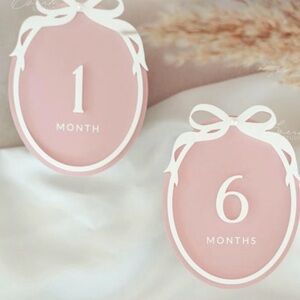 Interchangeable Acrylic Bow Monthly Milestone Sign